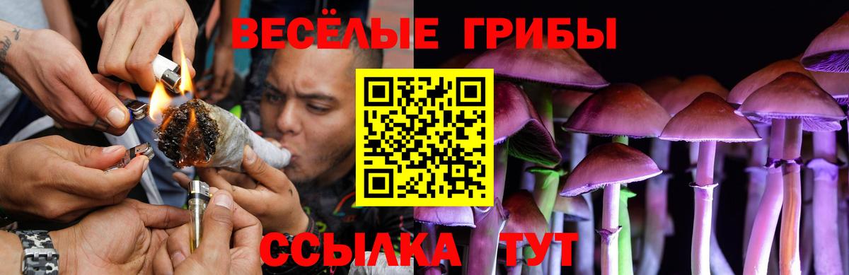Псилоцибиновые грибы GOLDEN TEACHER Касимов