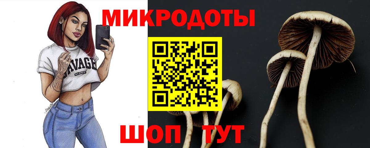 Галлюциногенные грибы Psilocybe  Вход с VPN  Псилоцибиновые грибы GOLDEN TEACHER  Касимов 